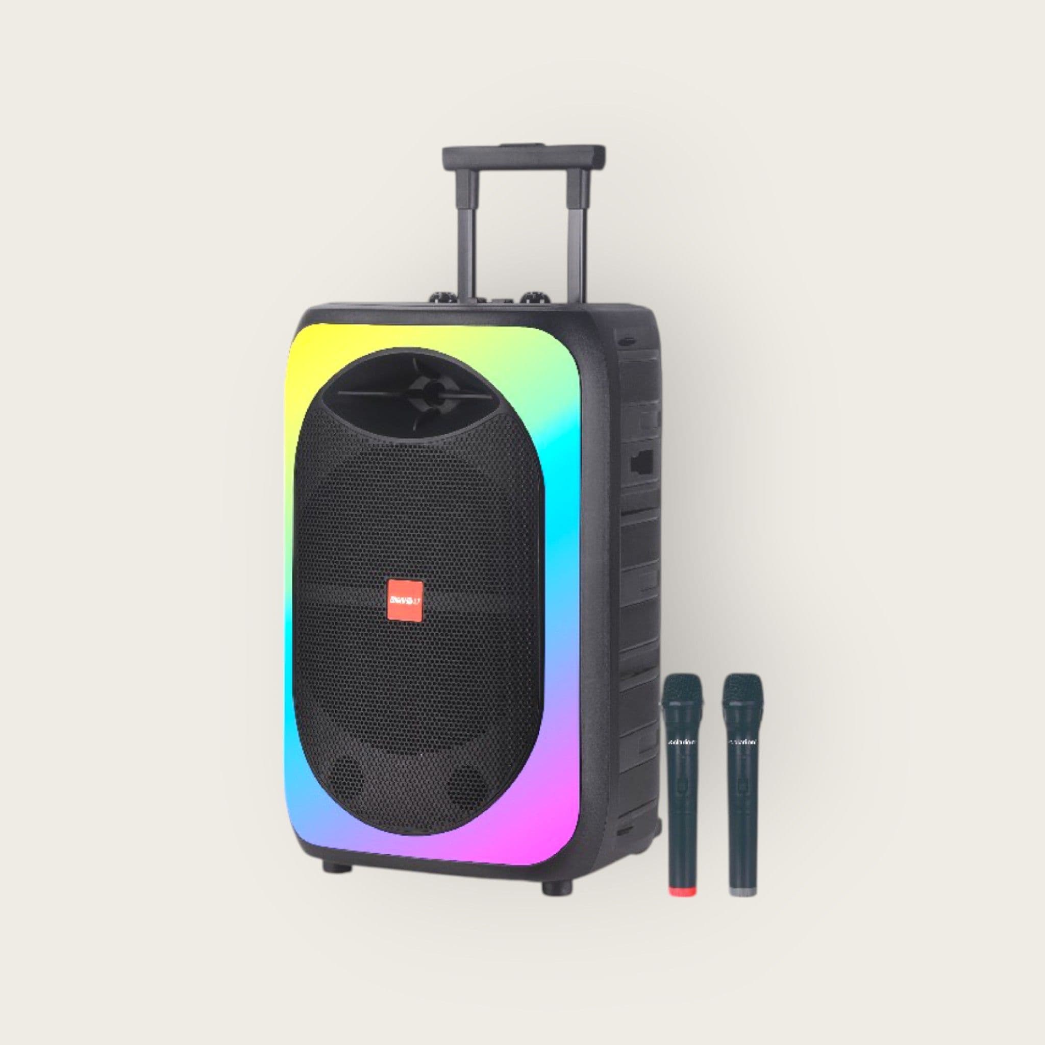 Bluetooth Speaker with Dual Wireless Mic - 1000 watts - thumbnail 2