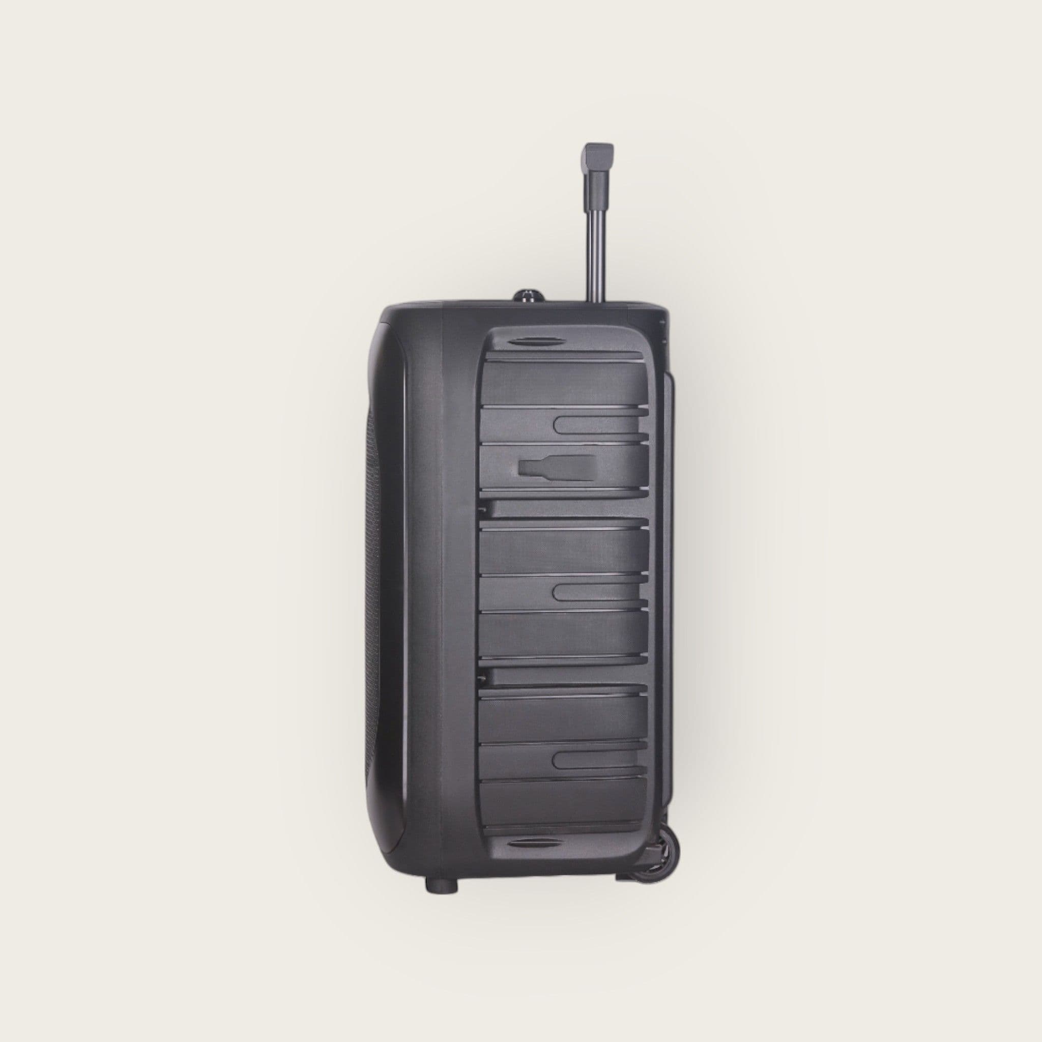 Bluetooth Speaker with Dual Wireless Mic - 1000 watts - thumbnail 5